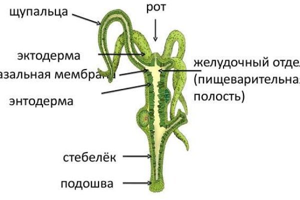 Кракен даркнет маркет ссылка тор