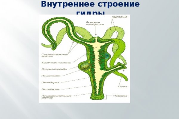 Кракен это наркозависимость